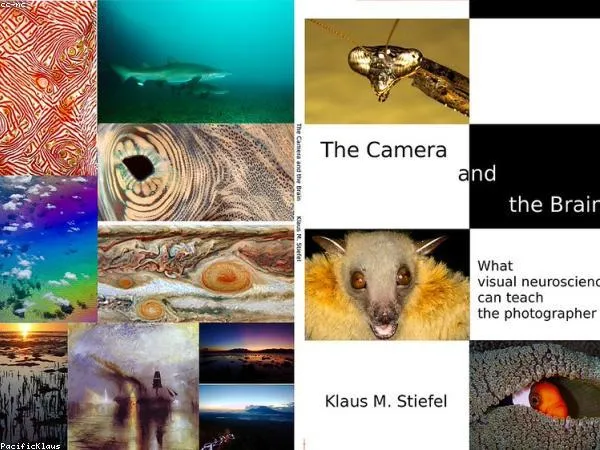 Travel story visual